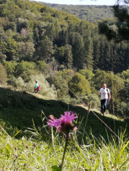 Beskid Niski -2-6.09.2023