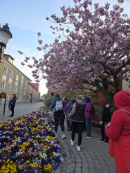 Bornholm - 09-11.05.2025 