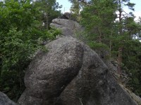 DSCN5821