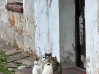 img-20251012-wa0097
