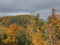 img-20251012-wa0251
