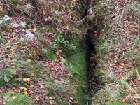 img-20251012-wa0285