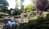 20180602_103859