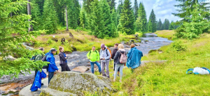 Góry Izerskie - 05.07.2026