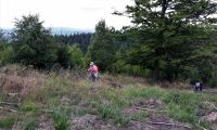 20190720_101747 (2)
