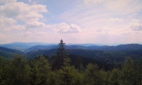 IMG_20190720_114240