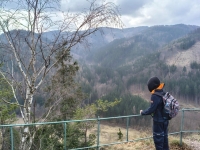 widok