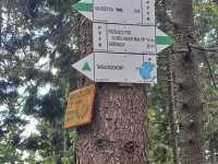 img-20250629-wa0041