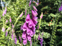 img_20250629_154556871_hdr