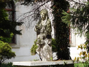  Henryków i Muszkowicki Las Bukowy - 14.04.2024