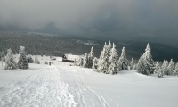 WP_20180203_030