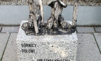 IMGP1989