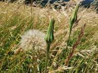 img-20250705-wa0249