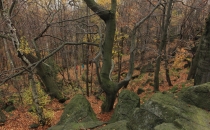 S10