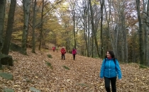 WP_20161105_001