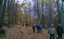 WP_20161105_002