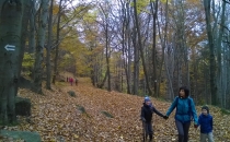 WP_20161105_004