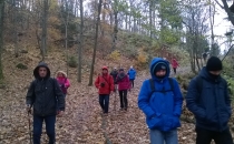 WP_20161105_010