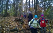 WP_20161105_020
