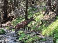 img-20250531-wa0097-1