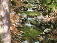 img-20250601-wa0001