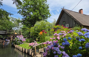  Spreewald (Niemcy) – 06.07.2025