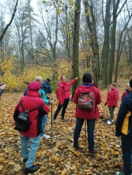 Strzegom - 09.11.2025