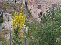 img-20250707-wa0060