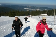 WP_20150214_020