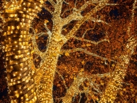 wieden_06_07_12_2025-35