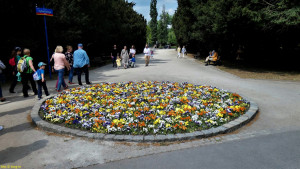 Wrocław 14.05.2022